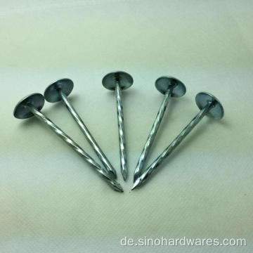 Glatter Umbrella Head Roofing Nail